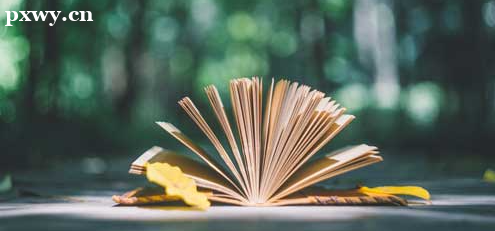 ����ע����������ʦ��ѵ�����Ǯ ֤�麬����