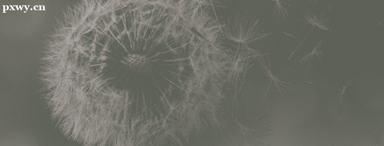 �߼��Ӿ����ʦ����ʲô�ģ�Ҫ������Щ���ܣ�