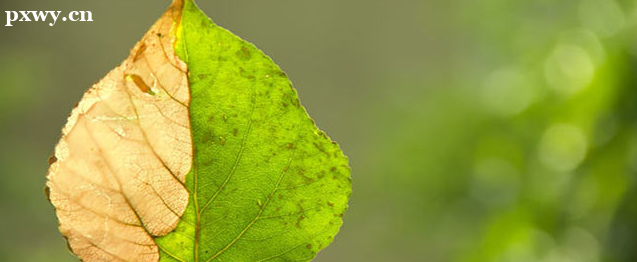 ��Ӫ��ʦ��ʲô�ô� ��Ӫ��ʦ������