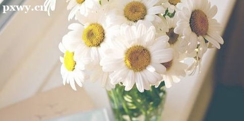 �Կ�����ѧ����ô���� ��ѧ���Ա������Ƕ���