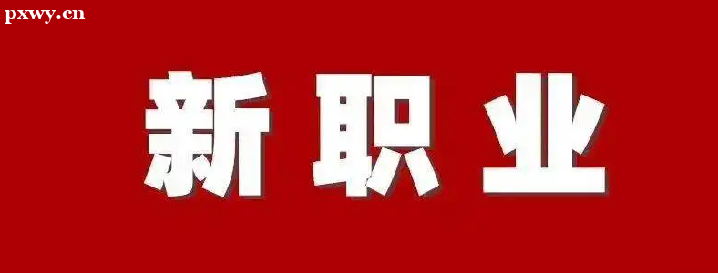 ��Ϊ��ͥ����ָ��ʦ������