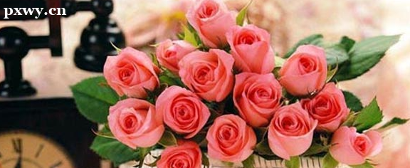 ��������ѧ�Կ����ƿ�Ŀ����Щ ��������ѧ�ľ�ҵ����