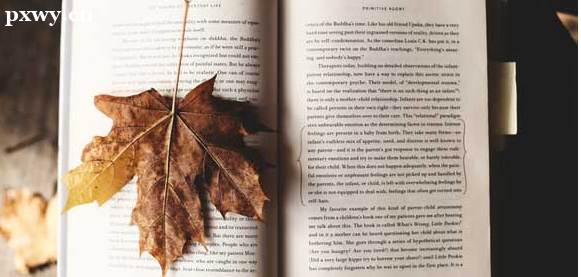 �ٶ������������ʲô