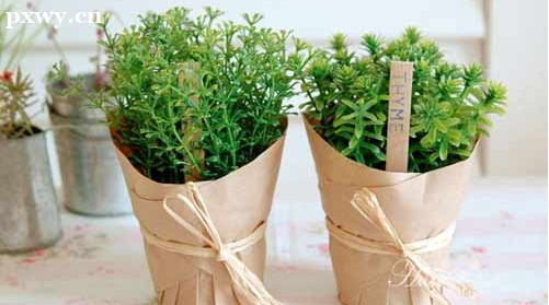 ��̸�Ļ���Ӧ���ѡ�� ����ҵ�����Ȥ�Ļ���