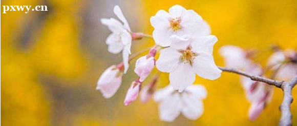 ��˼Ҫ��ô���ܿ��߷� ��ο����óɼ�