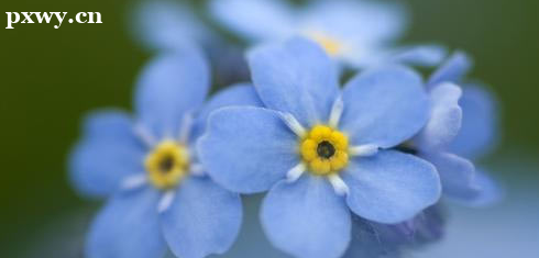 ��ô�Կ�Ӫ��ʦ֤�� ����������ʲô