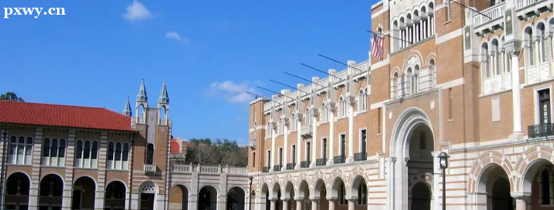 ��ѧ����������ѧ����ѧרҵ��