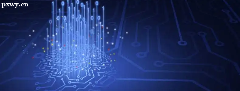 ����������ѵ��������