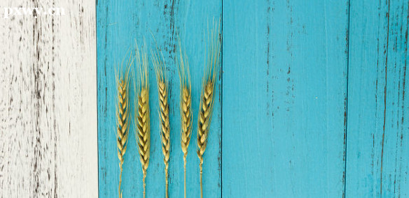 ���ƽ������������