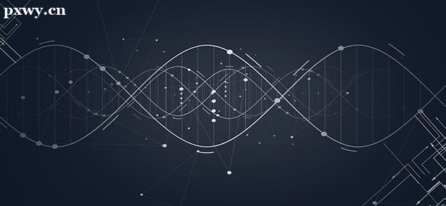 ��������Ա��Ҫ������Щ����