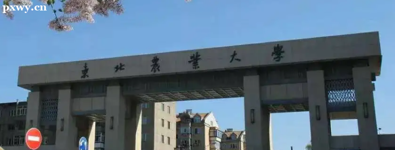 ����ũҵ��ѧ���Ժù���