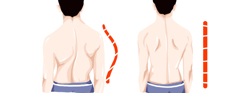 �����꼹���������Ʒ���