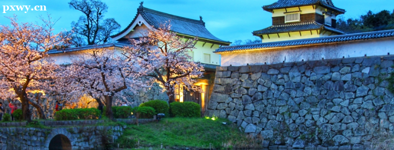 �ձ���ѧ�ձ���ѧ���ѧ����ЩԺУ����