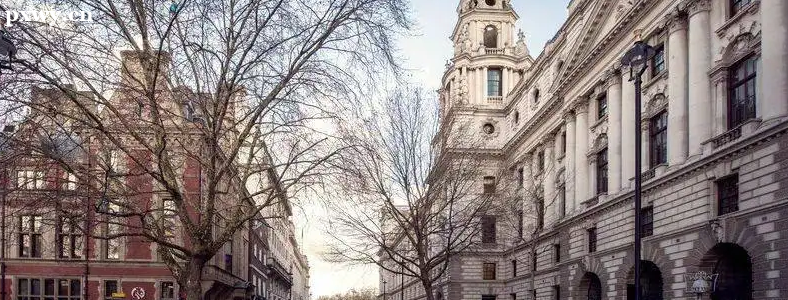 Ӣ����ѧԤ����ô���� Ӣ����ѧԤ����������