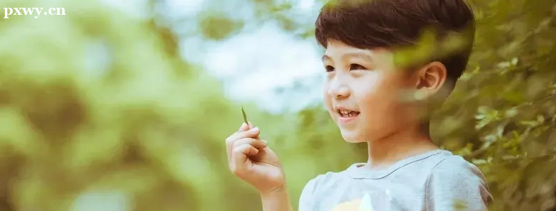 ʮ�����С����������ô��