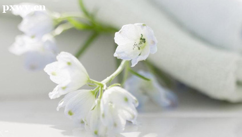 2022Ӫ��ʦ��ҵǰ����� ������������Щ