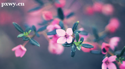 С��ѧϰ��̵ĺô�