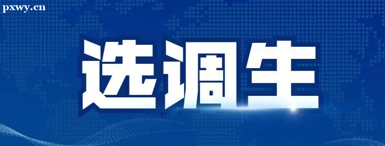 �о�����ѡ������ʲô����