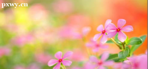 浙江健康管理师报考条件2022最新规定