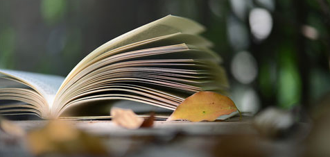 pythonֵ��ֵ��ѧ����ҵǰ����ô��