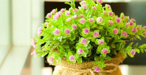 �ɿ�������ƾ�ĺ��������� ��ʲô��