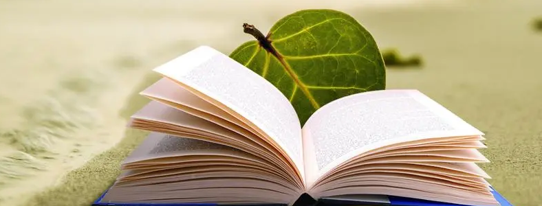 ר�ƿ��о�����ר˶����ѧ˶