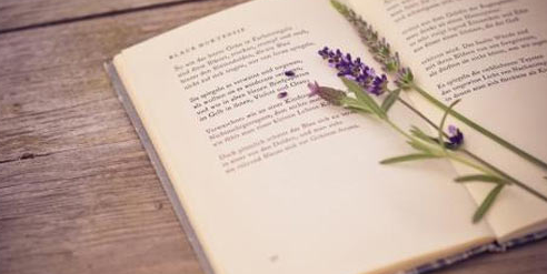 Ů���ʺϵı���רҵ���ɿ�ѡ��רҵӦ��ע��ʲô