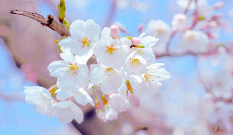 ��������ʦʲôʱ��������ô����