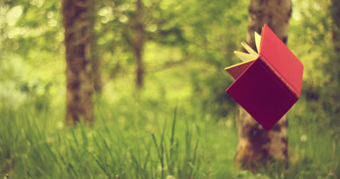 2022�꽡������ʦ12�·��п�����