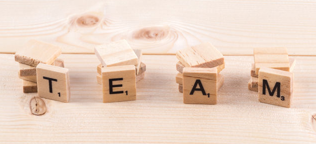 �ɽ̱���ѧ����ʲô��