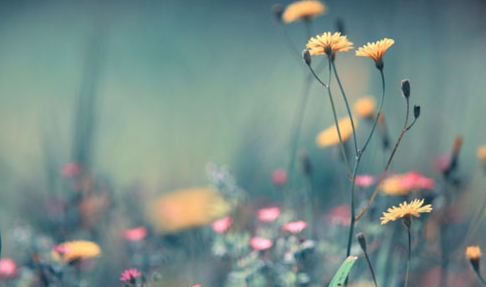 ui���ѧϰ���ݣ�Ҫ�õ���ui�����������Щ