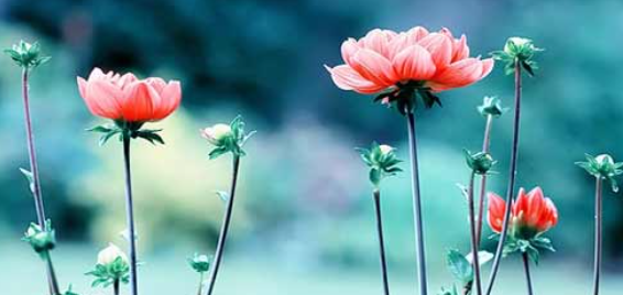 ��Ϊһ������ʦ��Ҫ���Ѷ���Ǯ