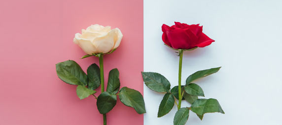 ������������ʦ���Ժϸ��׼��������������ʦ��������