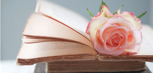 ���˸߿�ר�����Ѳ��ѿ� ��Ŷ��ٷ��ܹ�