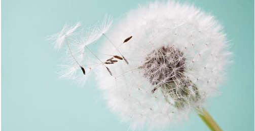 ִҵҩʦ���忼��ʱ����ʲôʱ��