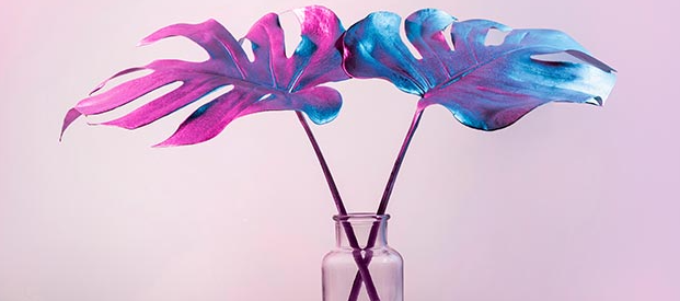 ���б�ҵ���Ա���ִҵҩʦ������ЩҪ��