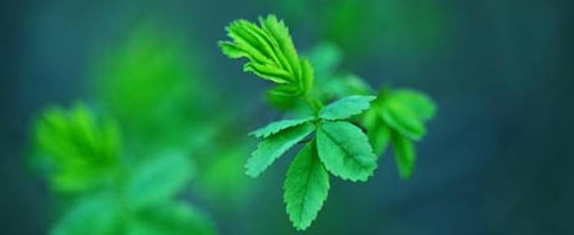 ��������ʦ���·ݿ��� һ�꿼����