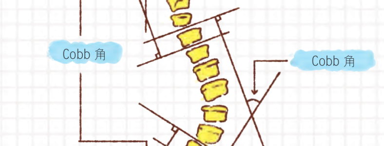 ������������ķ���