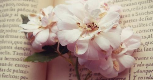 �м�����ʦ�б�������Ҫ��ô