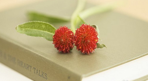 �ɿ��Լ�����������