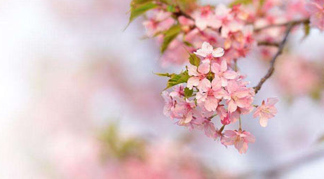 ��������ʦ������û����