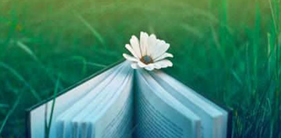 �м�������Դ����ʦ���ô�