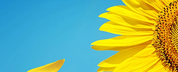 2022�깫��Ա���Զ���ʲô��Ŀ������