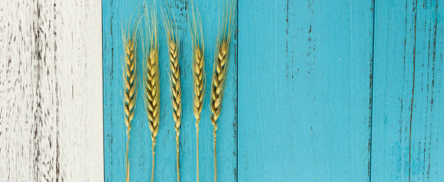 �м�ע�ᰲȫ����ʦ������Ŀ��ʲô