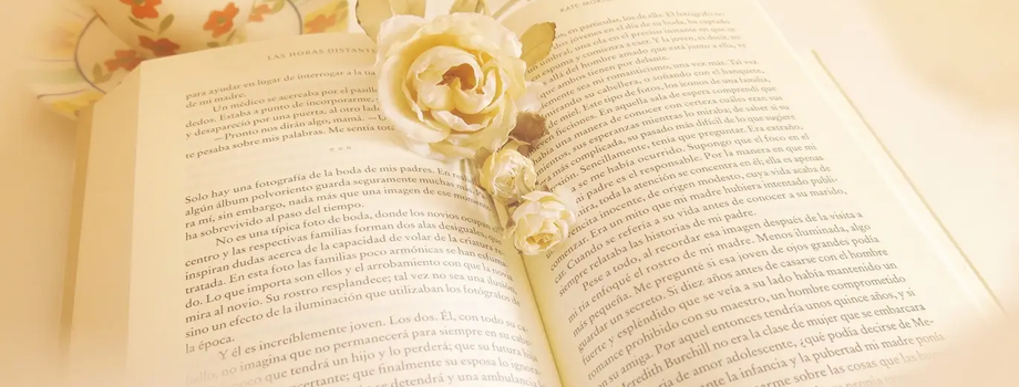 ��ʦ�ʸ�֤�������ϱ�����������