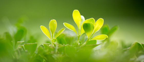 ��������ʦ��н�ʴ���