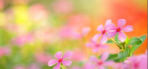 �м�����ʦ�ĸ�רҵͨ�������