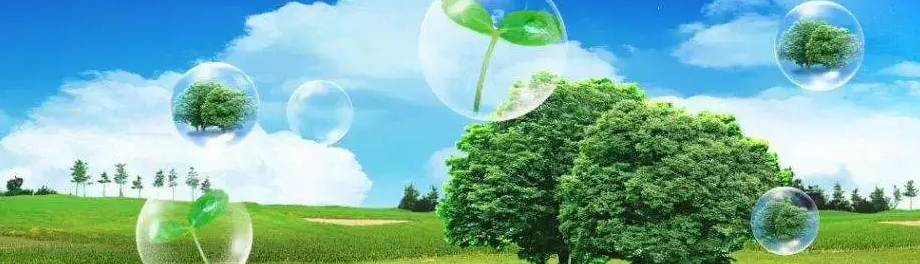 ��������ʦ���Կ�Ŀ��ʲô