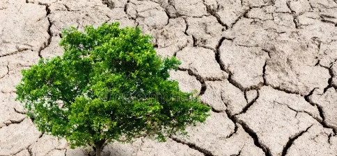 ����Ӱ�����۹���ʦ����ͨ����