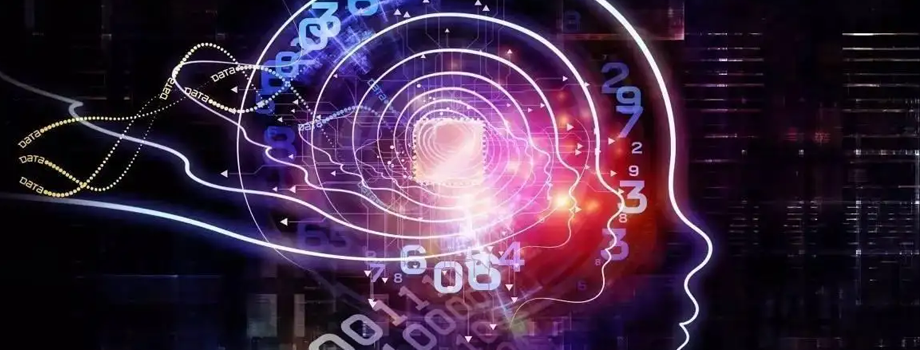 ��ɳ�����ѧ��������Ҫѧϰ��Щ����?